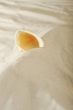 小船在沙灘上