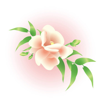 婚禮鮮花