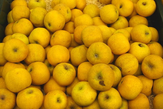 蘋果顯示器？talage de pommes