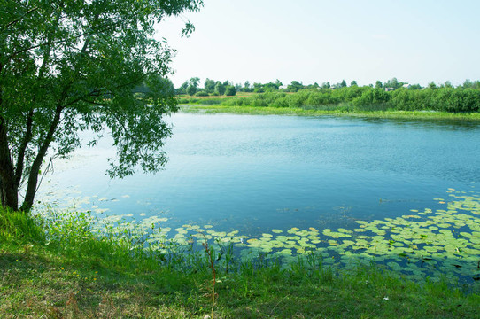 河