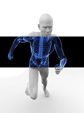 3D模型-慢跑