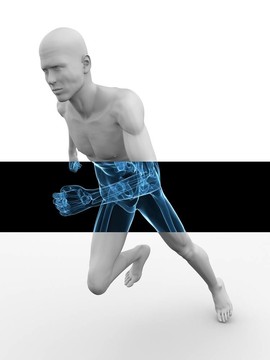 3D模型-慢跑