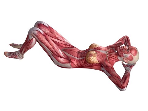 女性腹肌鍛煉