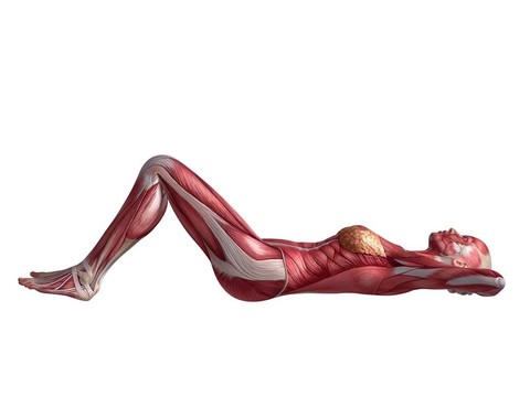 女性腹肌鍛煉