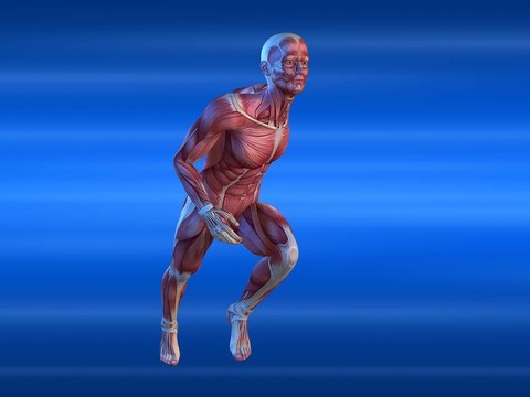男子短跑運動員