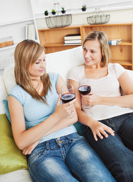 迷人的两个女人坐在沙发上喝酒