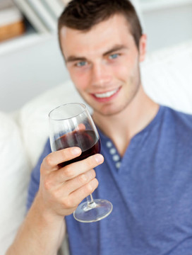 有魅力的年轻人拿着一杯酒坐在客厅的沙发上