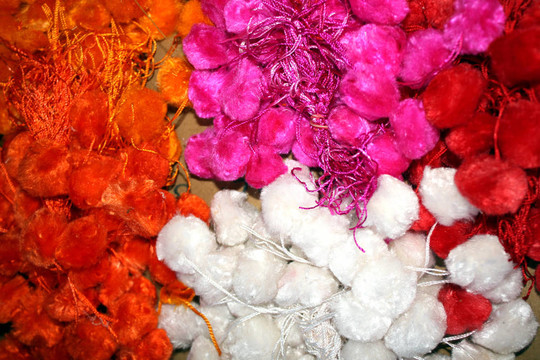 傳統(tǒng)的rakhis