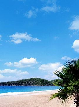 夏日在美麗的海灘