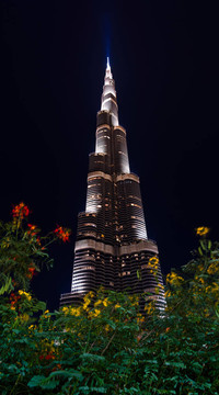 Burj Khalifa；迪拜；透過樹叢