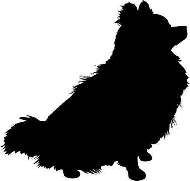 博美犬剪影