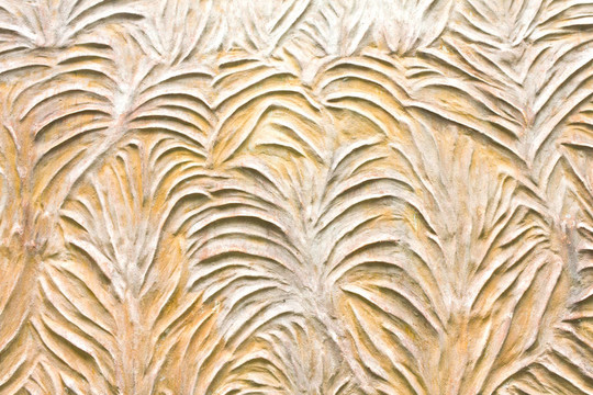 墻上圖案