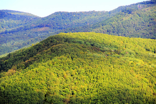高加索山脈夏季景觀