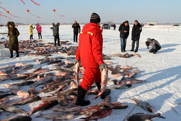 冬捕 捕魚