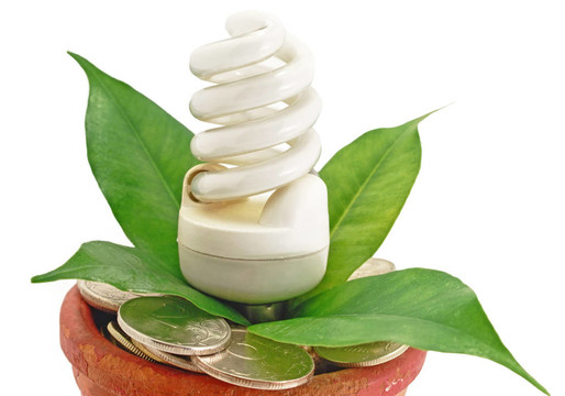 熒光燈生態(tài)鍋與金錢(qián)硬幣
