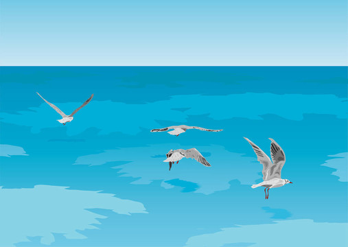 海鷗在海上