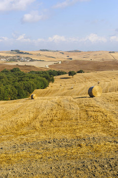 Val d Orcia（托斯卡納）景觀