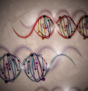 DNA分子