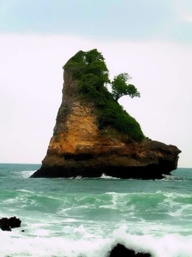 珊瑚島