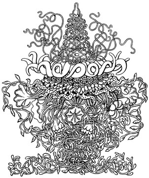 水螅水母類