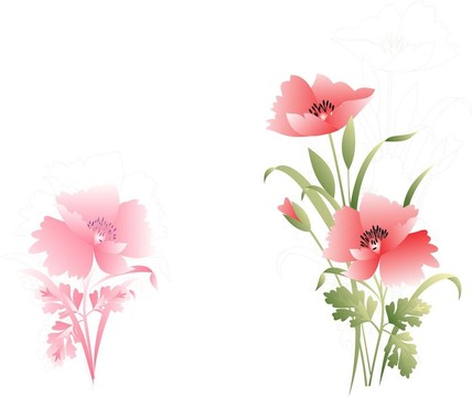 花香尾韻