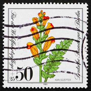 郵票德國1981摩爾王馬先蒿；Pedicularis Scep
