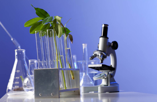 在綠色植物生物學實驗室