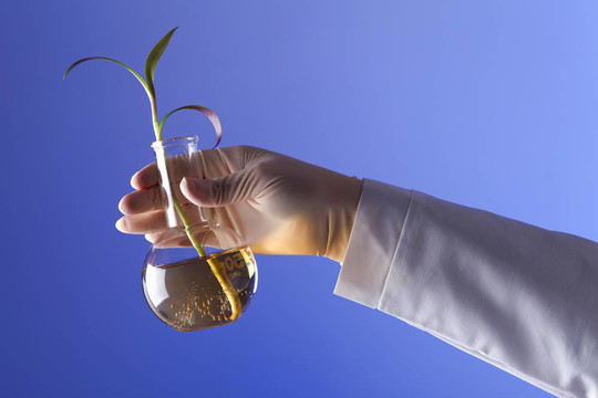 在綠色植物生物學(xué)實(shí)驗(yàn)室