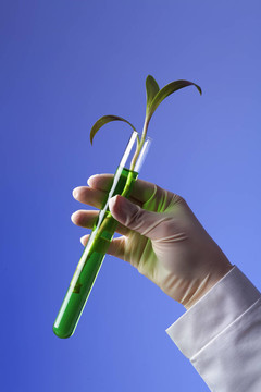 在綠色植物生物學實驗室