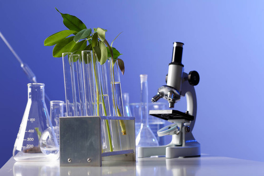 在綠色植物生物學實驗室