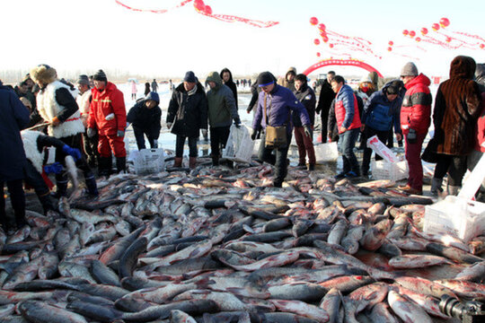 冬捕 捕魚