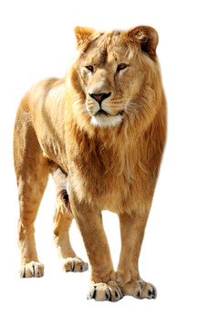 獅子林