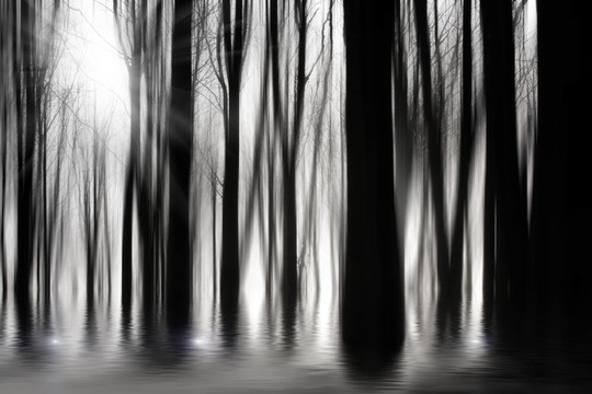 在BW與驅(qū)鬼樹林