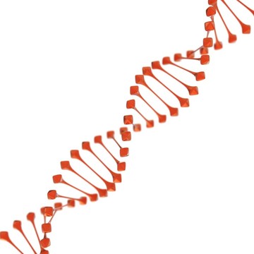 白背景DNA