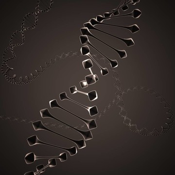 黑色的DNA