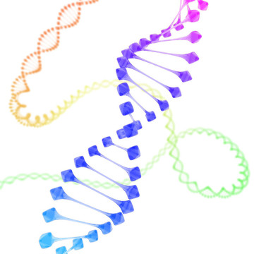 白色的彩色dna