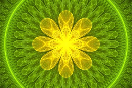 黃色的花