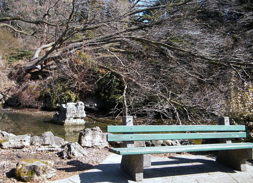 多倫多高公園長椅2010