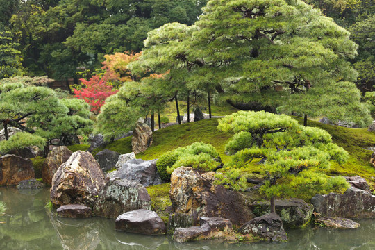 日本禪宗花園