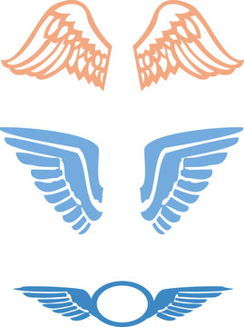 bird_wings