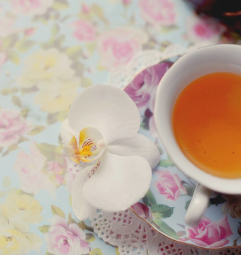 一杯茶