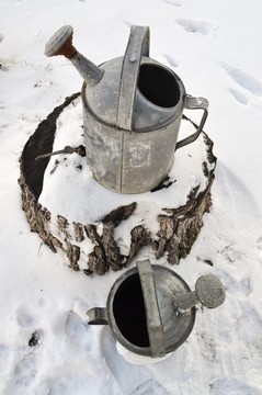在雪地里澆水罐頭