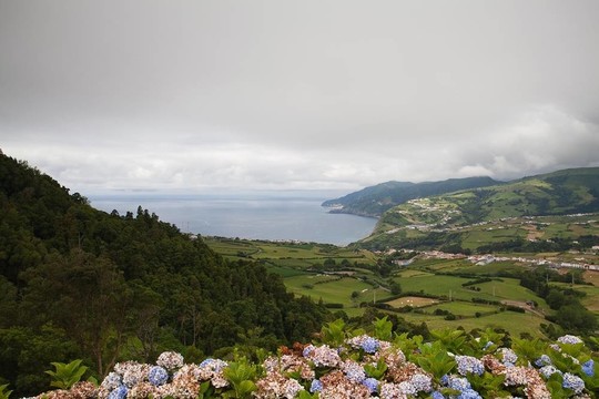 圣米格爾島