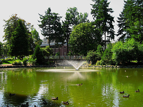 在公園散步