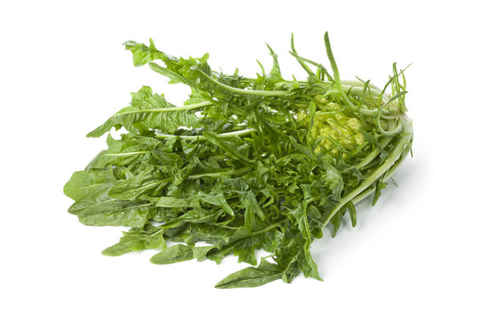 新鮮蔬菜puntarelle