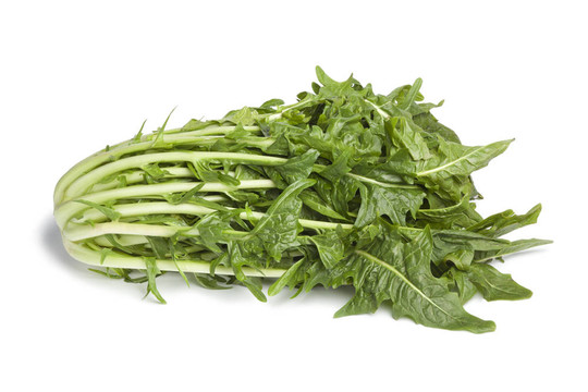 新鮮蔬菜puntarelle