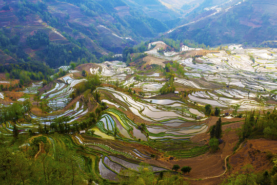 云南元陽梯田美麗壯觀的風(fēng)景