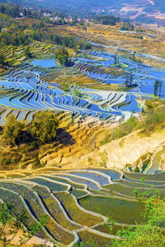 云南元陽梯田美麗壯觀的風(fēng)景