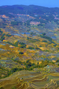 云南元陽梯田美麗壯觀的風(fēng)景