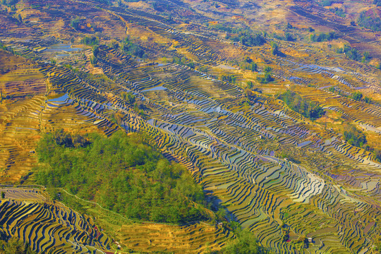 云南元陽梯田美麗壯觀的風(fēng)景